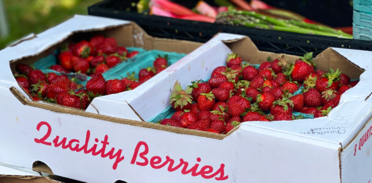 Food Inventory Tips for Business