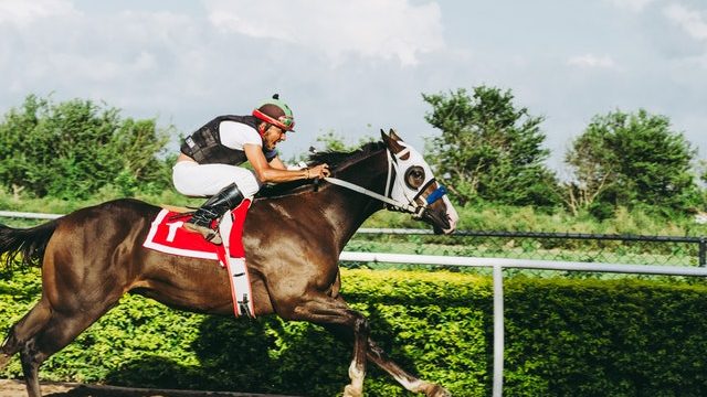 Basics of Online Sports Betting